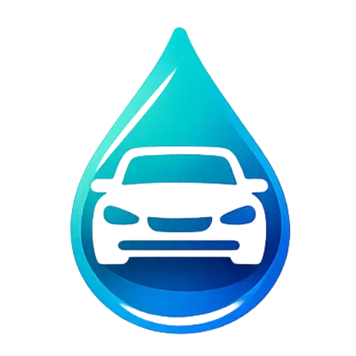Lavage auto à domicile Dargoire